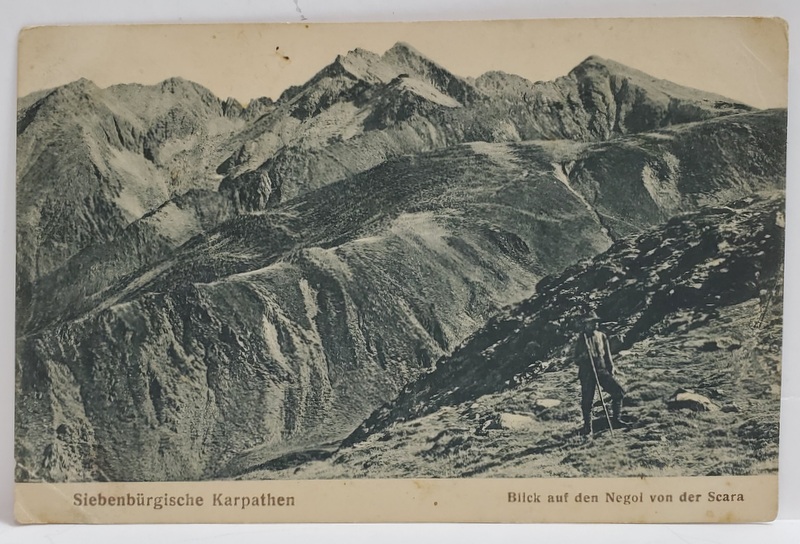 MUNTII NEGOIU VAZUTI DE PE SCARA , CARTE POSTALA , PHOT. E. FISCHER , SIBIU , INTERBELICA