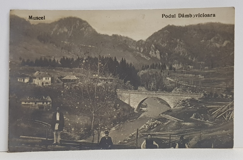 MUSCEL - PODUL DAMBOVICIOARA , FOTOGRAFIE TIP CARTE POSTALA , MONOCROMA , NECIRCULATA , PERIOADA INTERBELICA