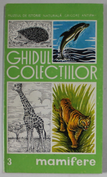 MUZEUL DE ISTORIE NATURALA '' GRIGORE ANTIPA '' , GHIDUL COLECTIILOR , 3.MAMIFERE  , 1990