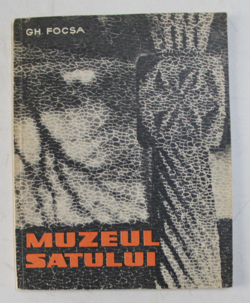 MUZEUL SATULUI de GH. FOCSA , 1967