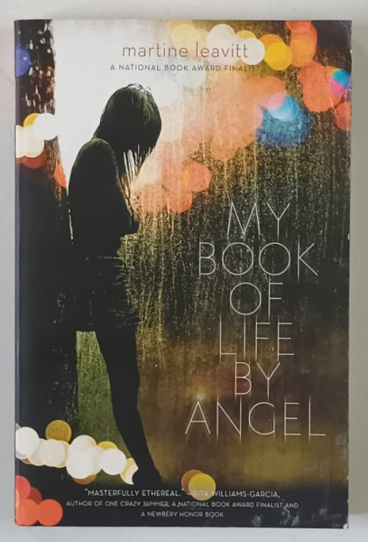 MY BOOK OF LIFE BY ANGEL by MARTINE LEAVITT , 2014