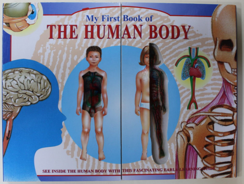MY FIRST BOOK OF THE HUMAN BODY , edited by Dr. JOHN H.R. BROOK , 2015
