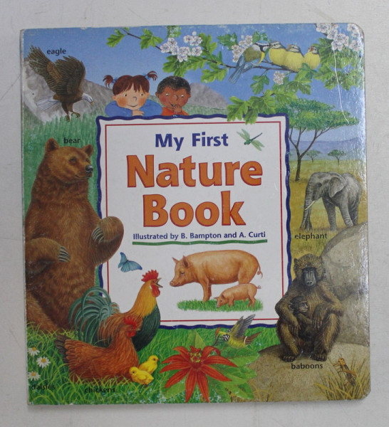 MY FIRST NATURE BOOK , illustrated  by B. BAMPTON and A. CURTI , 2001