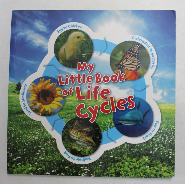 MY LITTLE BOOK OF LIFE CYCLES by CAMILLA DE LA BEDOYERE , 2010