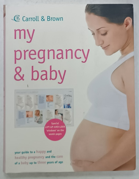 MY PREGNANCY and BABY  , 2011