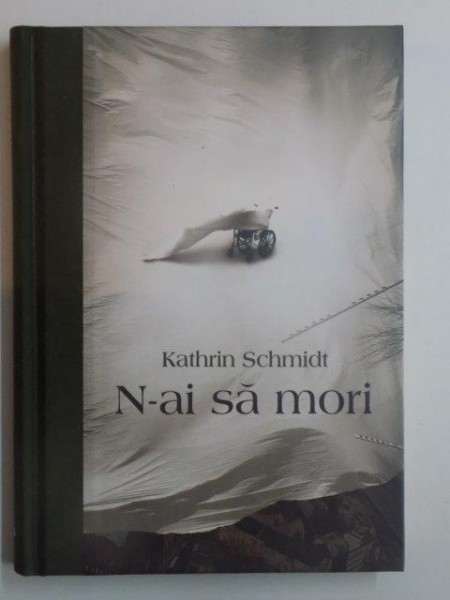 N - AI SA MORI de KATHRIN SCHMIDT , 2011