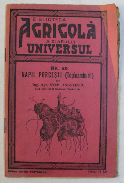 NAPII PORCESTI ( TOPINAMBURII )  de STEF. ANGELESCU , 1938