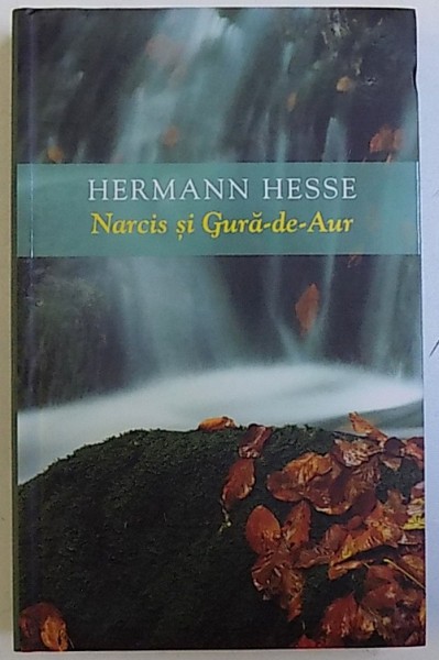 NARCIS SI GURA-DE-AUR de HERMANN HESSE, 2007