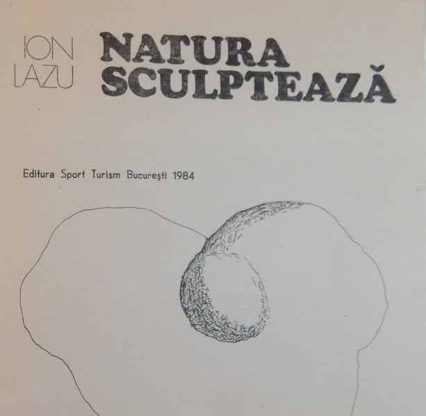 NATURA SCULPTEAZA ,1984