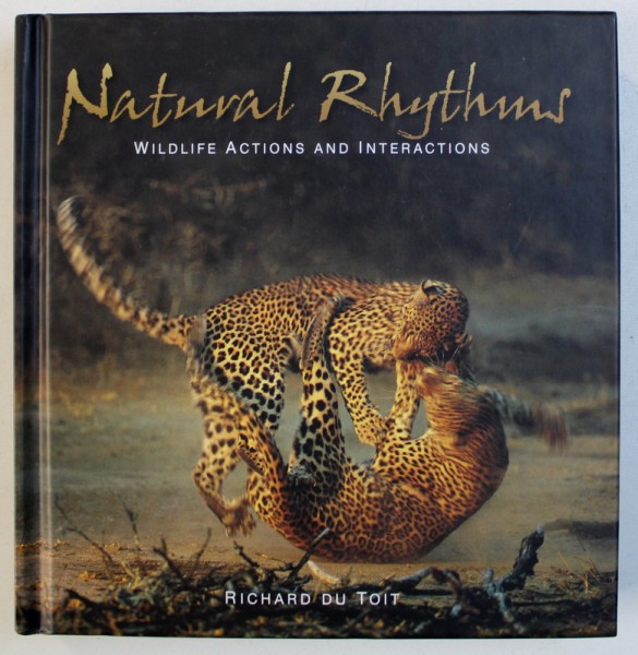 NATURAL RHYTHMS, WILDLIFE ACTIONS AND INTERACTIONS