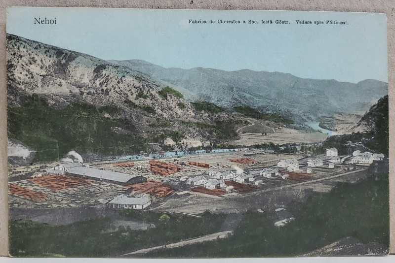NEHOIU , FABRICA DE CHERESTEA A  SOC. FOSTA GOETZ , VEDERE SPRE PALTINENI , CARTE POSTALA ILUSTRATA , INCEPUTUL SEC. XX