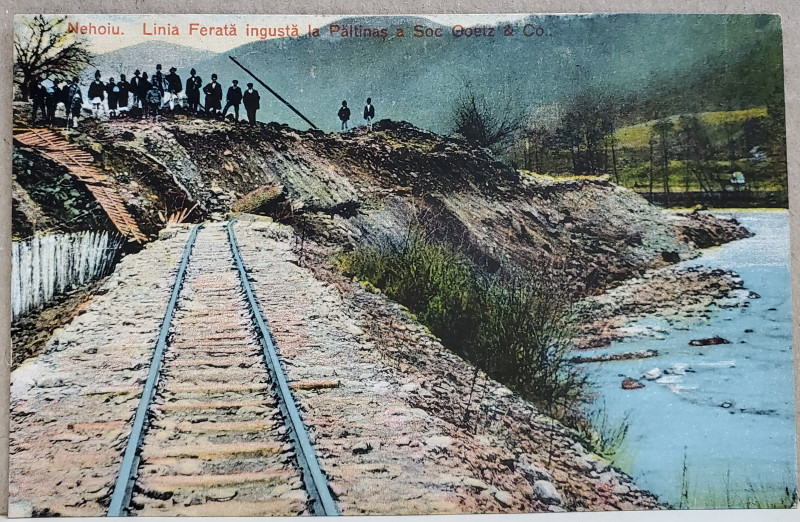 NEHOIU , LINIA FERATA INGUSTA LA PALTINAS A SOC. GOETZ and CO. CARTE POSTALA ILUSTRATA , INCEPUTUL SEC. XX