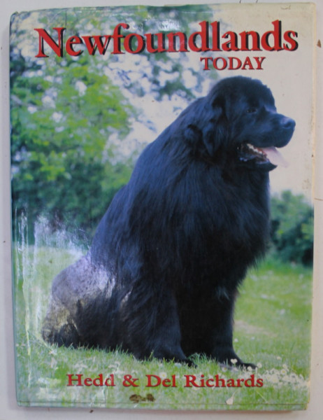 NEWFOUNDSLANDS TODAY by HEDD and DEL RICHARDS , 2003