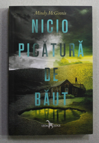 NICI O PICATURA DE BAUT de MINDY McGINNIS , 2019