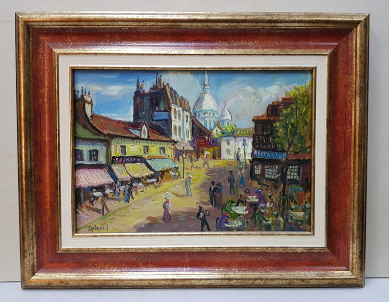 Nicolcea Spineni - Vedere din Paris