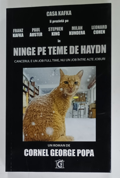 NINGE PE TEME DE HAYDN , roman  de CORNEL GEORGE POPA , 2025