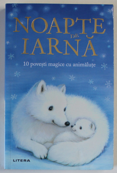 NOAPTE DE IARNA , 10 POVESTI MAGICE CU ANIMALUTE , ilustratii de ALISON EDGSON , 2020