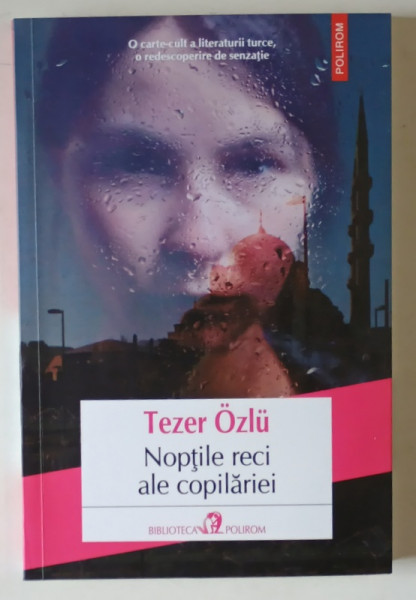 NOPTILE RECI ALE COPILARIEI , roman de TEZER OZLU , 2024