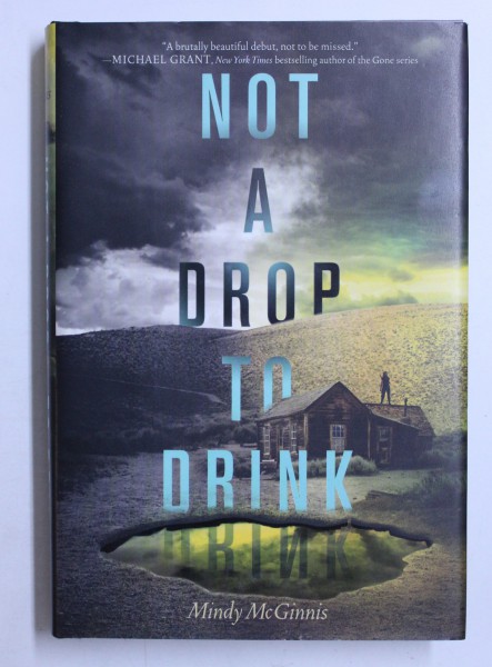 NOT A DROP TO DRINK by MINDY MCGINNIS , 2013