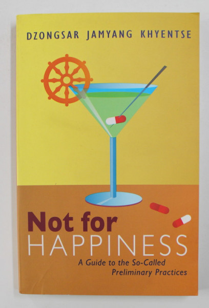 NOT FOR HAPINESS - A GUIDE TO THE SO - CALLED PRELIMINARY PRACTICES by DZONGSAR JAMYANG KHYENTSE , 2012