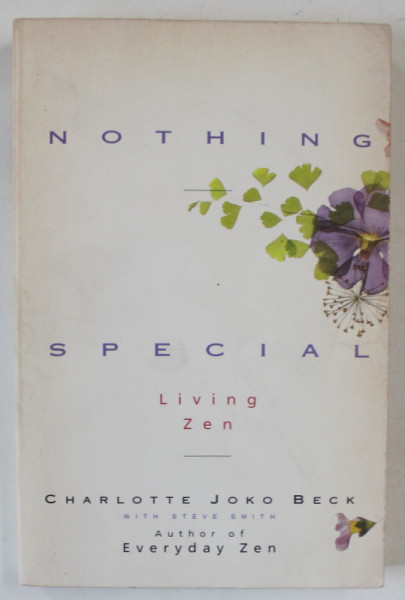 NOTHING SPECIAL , LIVING ZEN by CHARLOTTE JOKO BECK , 1993