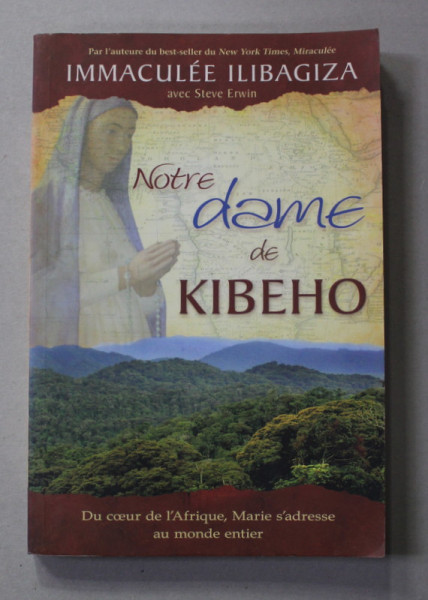 NOTRE DAME DE KIBEHO - IMMACULEE ILIBAGIZA , par  STEVE ERWIN , 2010