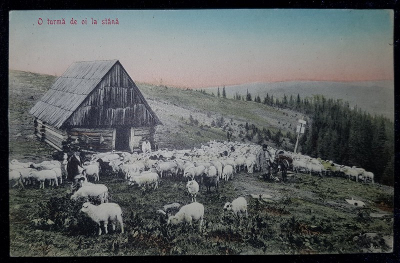 O turma de oi la stana - Carte postala foto