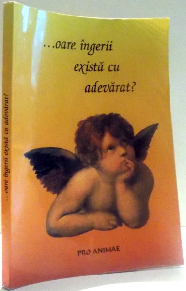 ...OARE INGERII EXISTA CU ADEVARAT? , 2003