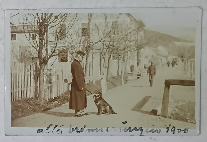 OFITER CU CAINELE SAU , LOCALITATE DIN TRANSILVANIA , FOTOGRAFIE FORMAT CARTE POSTALA , 1900
