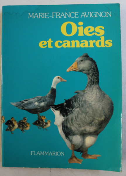OIES ET CANARDS par MARIE  - FRANCE AVIGNON , 1981