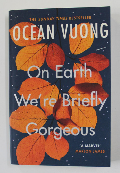 ON EARTH WE'RE BRIEFLY GORGEOUS by OCEAN VUONG , 2020