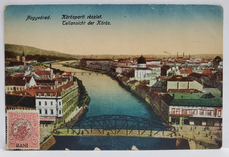 ORADEA , PODUL PESTE CRIS , IN PLAN SECUND SINAGOGA , CARTE POSTALA , INCEPUTUL SEC. XX