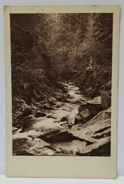 ORASTIE , RAU PRIN PADURE , CARTE POSTALA ILUSTRATA , 1925