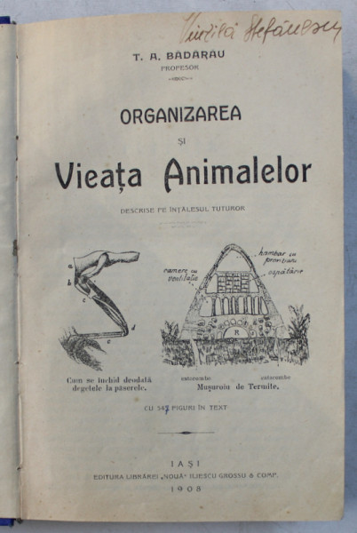 ORGANIZAREA SI VIEATA ANIMALELOR DESCRISE PE INTELESUL TUTUROR  de T.A. BADARAU , 1908