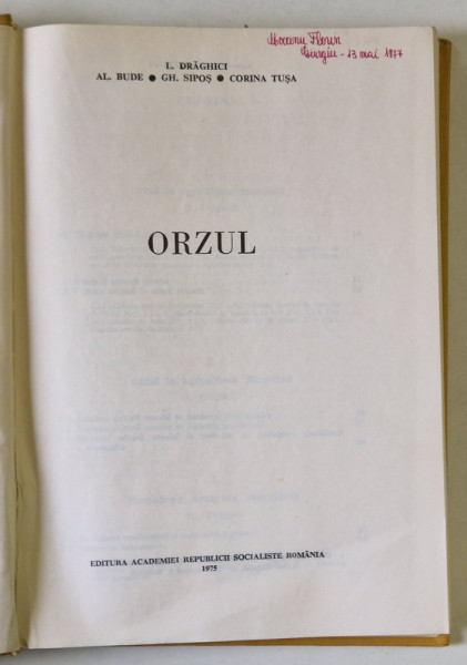 ORZUL de L. DRAGHICI ... CORINA TUSA , 1975 , MIC DEFECT COTOR
