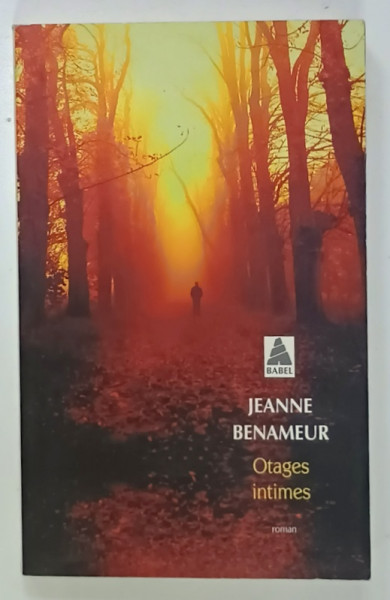 OTAGES INTIMES , roman par JEANNE BENAMEUR , 2015