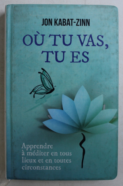 OU TU VAS , TU ES  - APPRENDRE A MEDITER EN TOUS LIEUX ET EN TOUTES CIRCONSTANCES par JON KABAT - INN , 2012