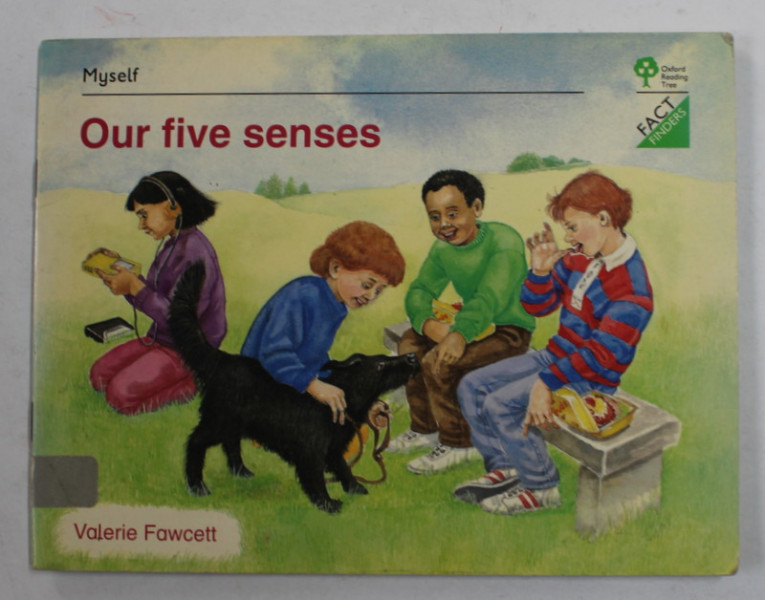 OUR FIVE SENSES by VALERIE FAWCETT , 1994