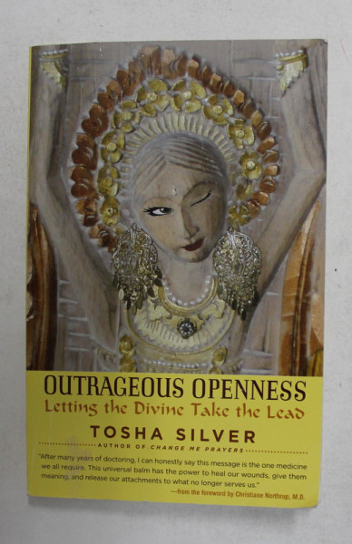 OUTRAGEOUS OPENNESS - LETTING TH EDIVINE TAKE THE LEAD by TOSHA SILVER , 2014