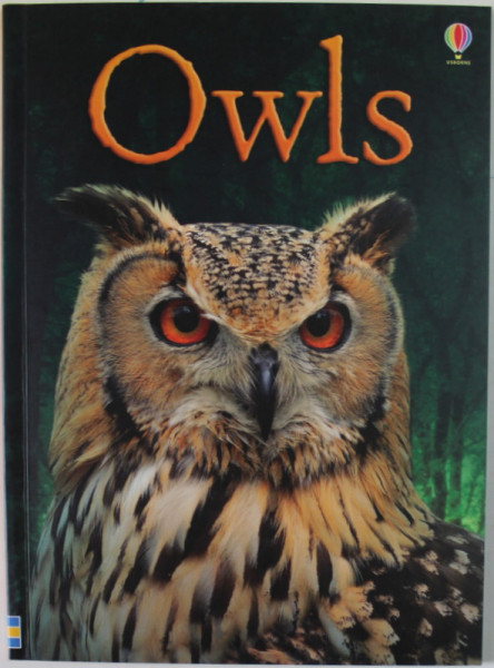 OWLS by EMILY BONE , illustrated by JENNY COOPER and RICHARD WATSON , 2013
