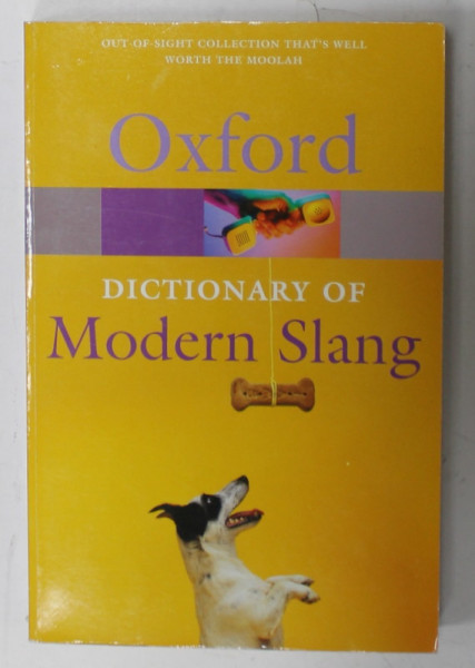 OXFORD DICTIONARY OF MODERN SLANG by JOHN AYTO and JOHN SIMPSON , 2005