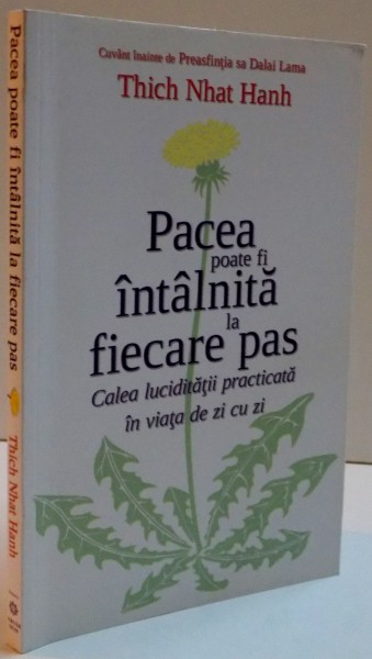 PACEA POATE FI INTALNITA LA FIECARE PAS , CALEA LUCIDITATII PRACTICATA IN VIATA DE ZI CU ZI , 2014 *PREZINTA SUBLINIERI IN TEXT