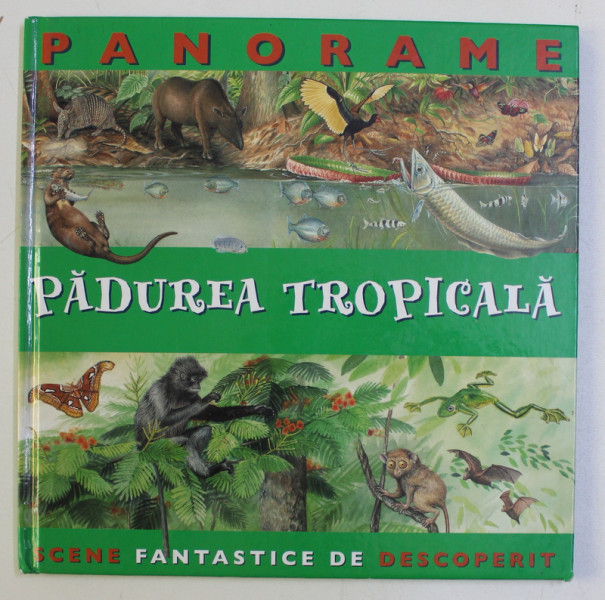 PADUREA TROPICALA - SERIA ' PANORAME ' de JULIA BRUCE ...NICHOLAS HARRIS , 2007