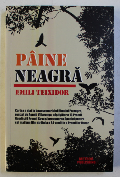 PAINE NEAGRA de EMILI TEIXIDOR , 2013