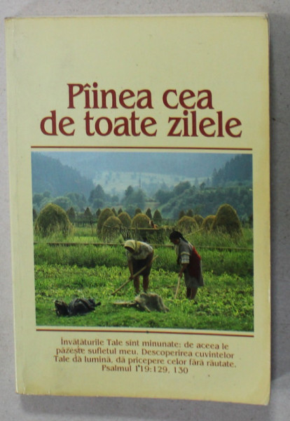 PAINEA CEA DE TOATE ZILELE , 1982