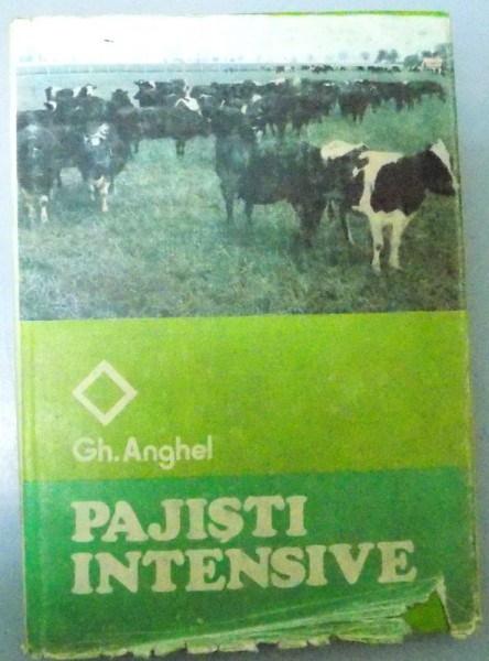 PAJISTI INTENSIVE , 1984