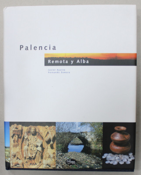 PALENCIA , REMOTA Y ALBA  de JAVIER AYARZA e FERNANDO ZAMORA , ALBUM CU TEXT IN LIMBA SPANIOLA , 1998 ,
