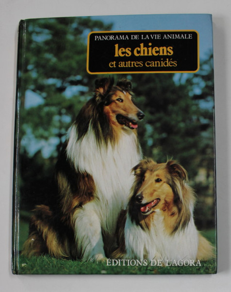 PANORAMA DE LA VIE ANIMALE - LES CHIENS ET AUTRES CANIDES , 1981