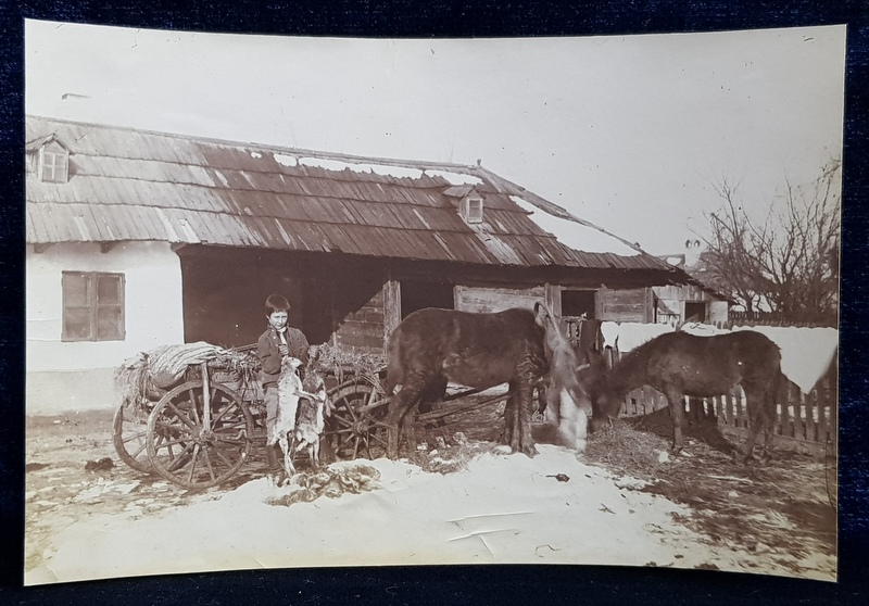 PANTELIMONUL LA 1902 , FOTOGRAFIA CURTII UNEI GOSPODARII , CU CARUTA CU CAI , MONOCROMA, DATATA  1902