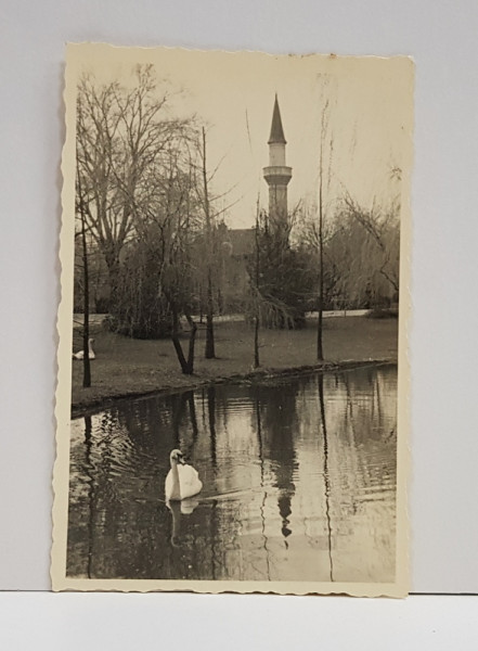 PARCUL CAROL I , BUCURESTI , LACUL SI MOSCHEEA , FOTOGRAFIE MONOCROMA, PE HARTIE MATA , PERIOADA INTERBELICA